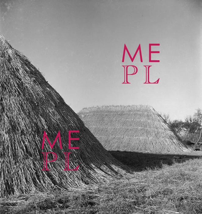 : Haystack. Two haystacks in Great Munden, thatched to protect them from the wind and rain : Haystack. Two haystacks in Great Munden, thatched to protect them from the wind and rain