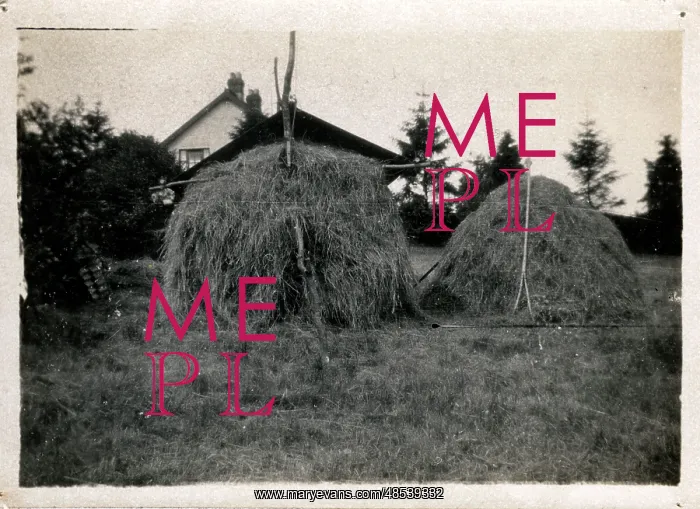 : Haystacks, Knockholt, Kent : Haystacks, Knockholt, Kent