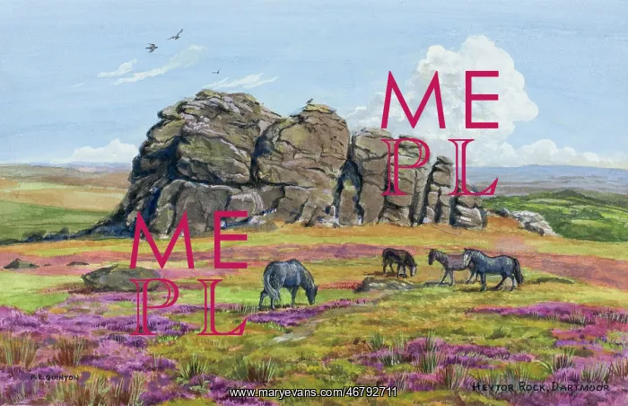: Haytor Rock, Dartmoor, Devon : Haytor Rock, Dartmoor, Devon