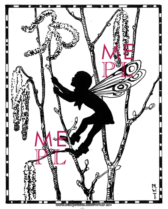 : Hazel Catkins Fairy : Hazel Catkins Fairy