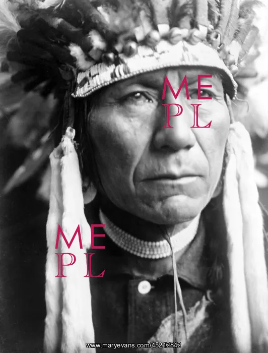 : Head-and-shoulders portrait of Nez Perce ? : Head-and-shoulders portrait of Nez Perce ?