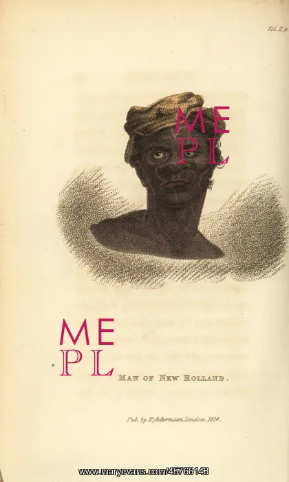 : Head of an Australian aboriginal : Head of an Australian aboriginal
