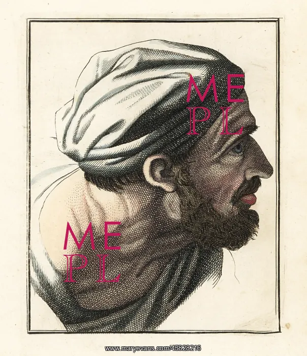 : Head of a bearded man in turban in profile : Head of a bearded man in turban in profile
