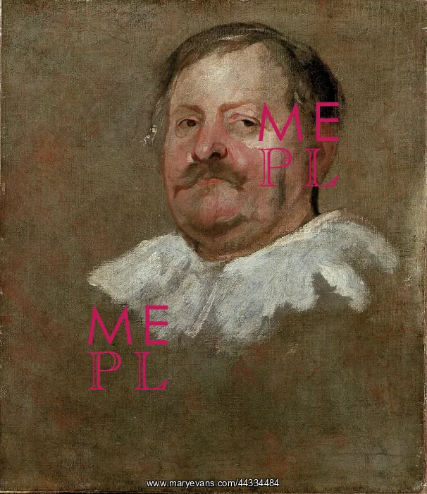 : Head of a bearded man wearing a falling ruff, by Van Dyck : Head of a bearded man wearing a falling ruff, by Van Dyck