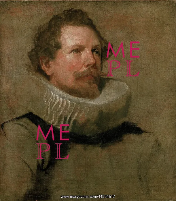 : Head of a bearded man wearing a wheel ruff, by Van Dyck : Head of a bearded man wearing a wheel ruff, by Van Dyck