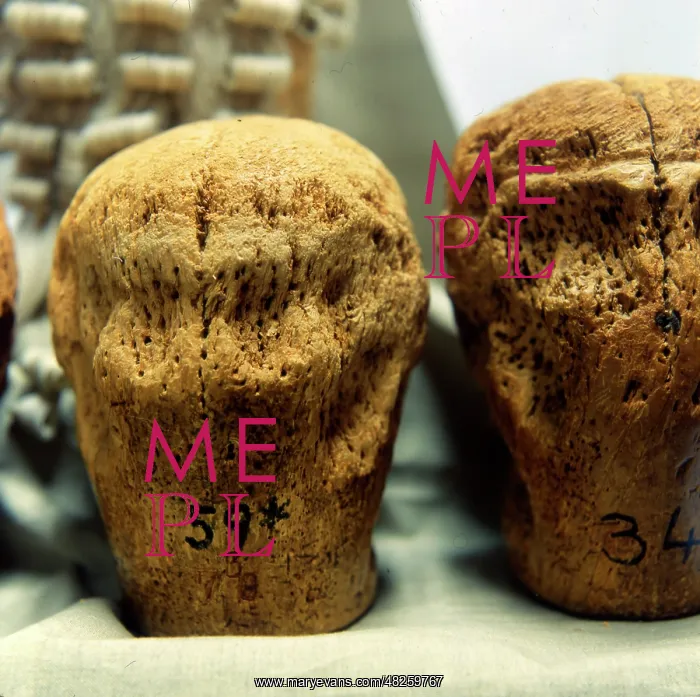  : Head Blocks / stands for Judge's Wigs