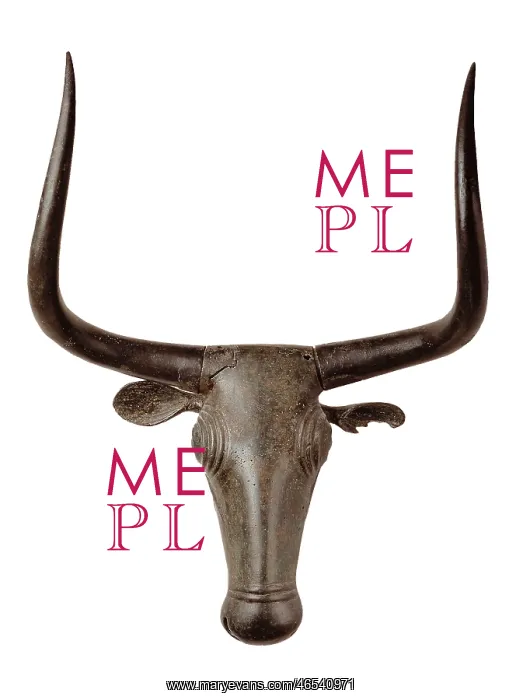 : HEAD OF A BULL : HEAD OF A BULL