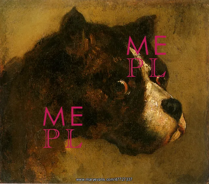  : Head of a Bulldog, by Gericault