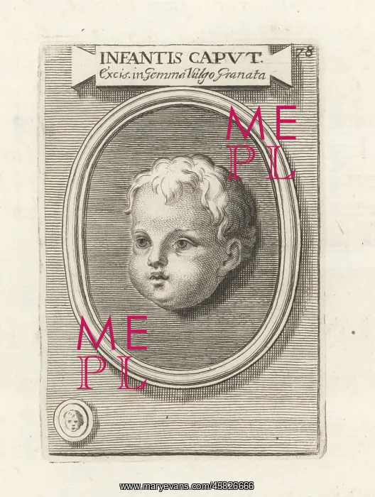 : Head of a child from an engraved garnet gem : Head of a child from an engraved garnet gem