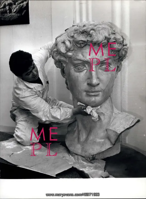 : Head of David, based on Michelangelo's sculpture : Head of David, based on Michelangelo's sculpture