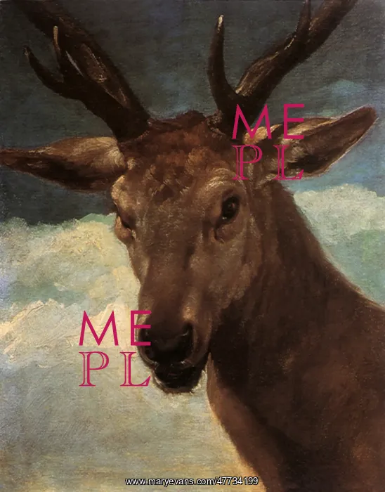 : The Head of a Deer, by Velazquez : The Head of a Deer, by Velazquez