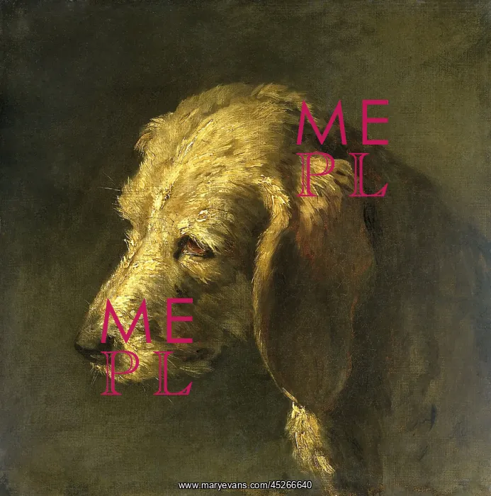 : Head of a Dog : Head of a Dog