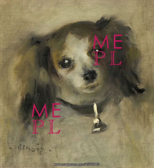 : Head of a Dog : Head of a Dog