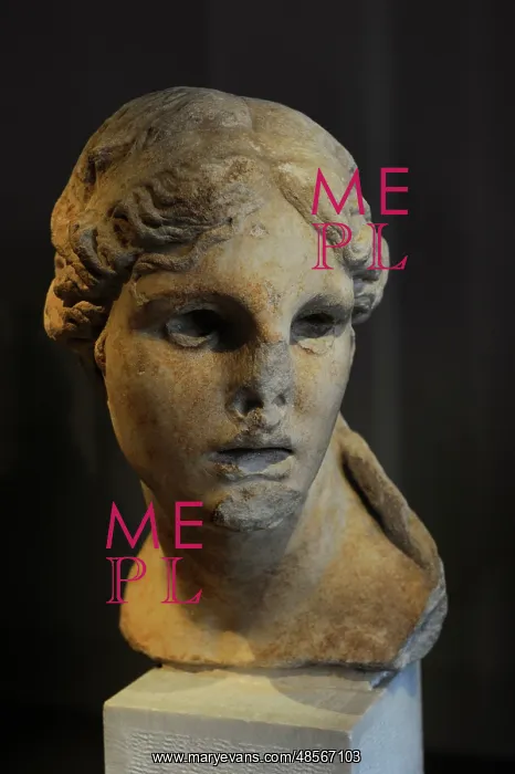  : Head of a female statue. Cyprus