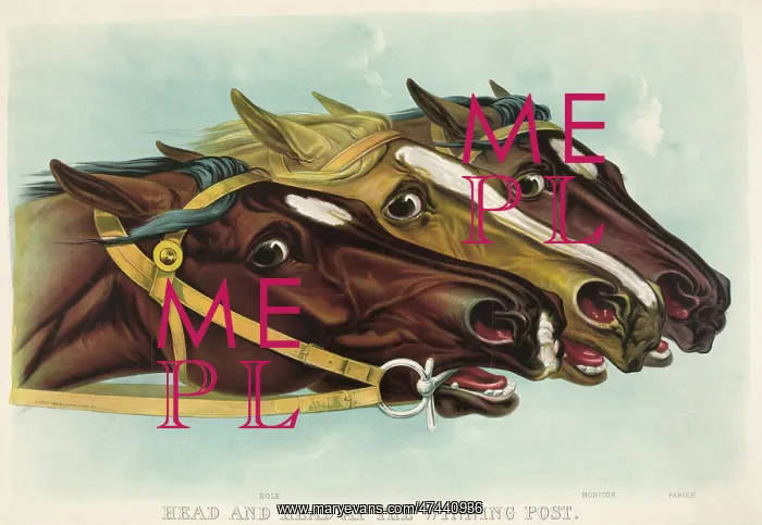 : Head and head at the winning post : Head and head at the winning post