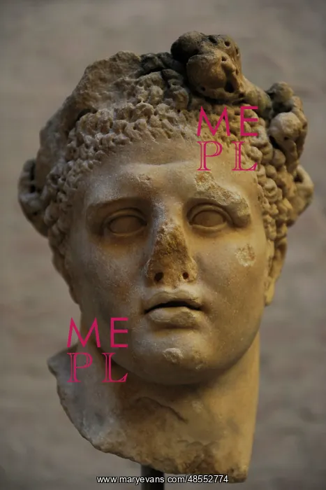 : Head of a Heracles statue. Roman sculpture : Head of a Heracles statue. Roman sculpture