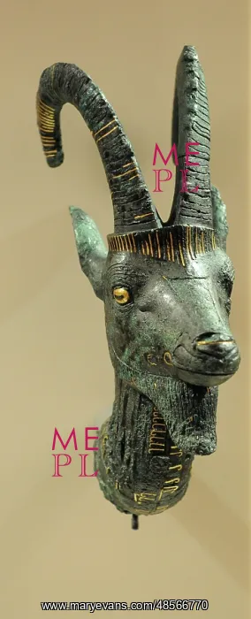 : Head of an ibex. Dynasty 21. Egypt : Head of an ibex. Dynasty 21. Egypt