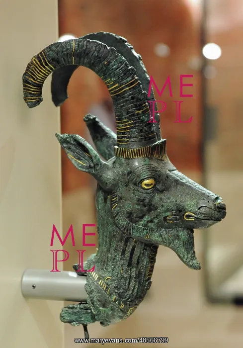 : Head of an ibex. Dynasty 21. Egypt : Head of an ibex. Dynasty 21. Egypt