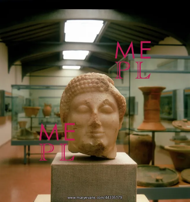: Head of a kouros, housed : Head of a kouros, housed