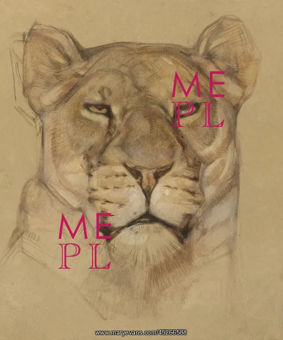 : Head of Lioness : Head of Lioness