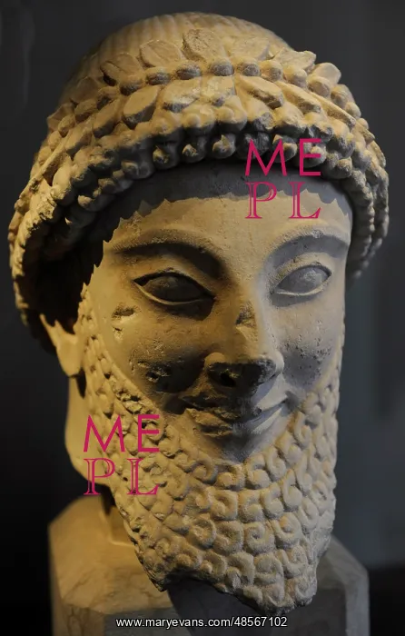  : Head of a male statue. Cyprus