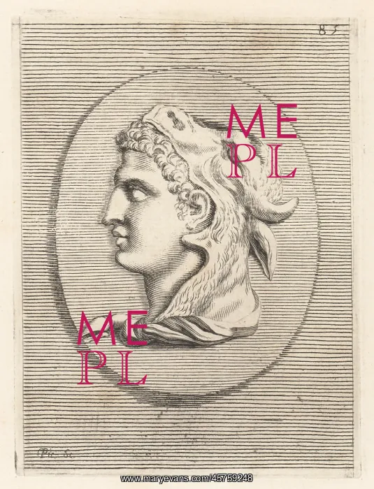 : Head of man, possibly Seleucus Nicator, wearing : Head of man, possibly Seleucus Nicator, wearing