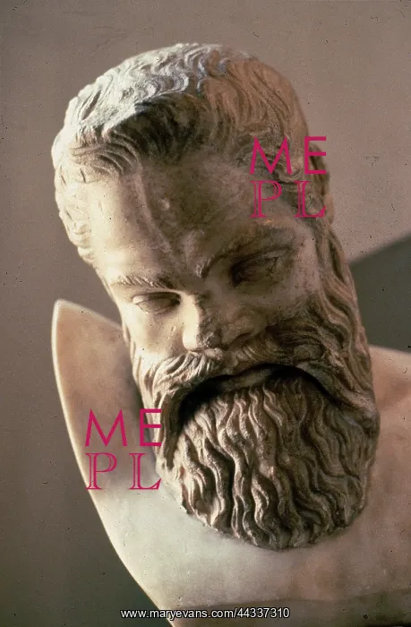 : Head of Marsyas, copy of : Head of Marsyas, copy of
