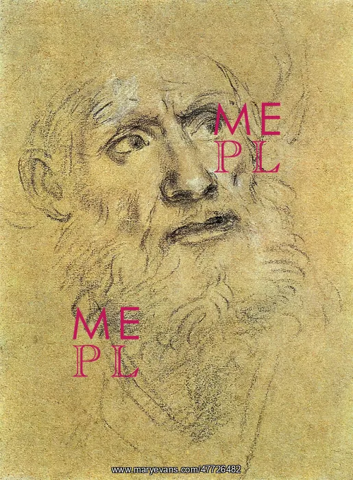  : Head of Old Man