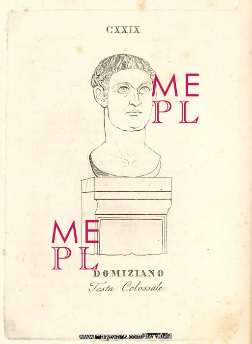 : Head of Roman Emperor Domitian : Head of Roman Emperor Domitian
