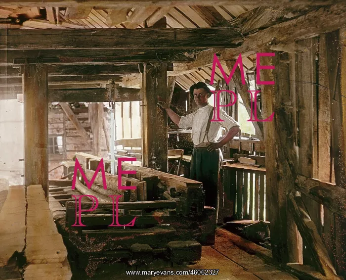 : A head saw in a sawmill : A head saw in a sawmill