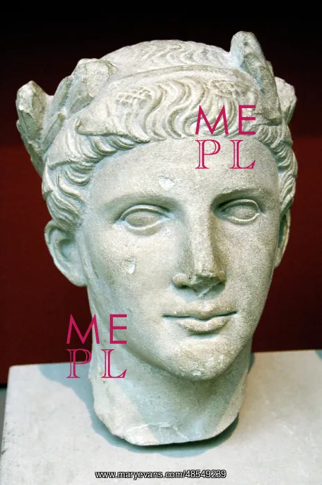 : Head from a statue of a devout man with laurel wreath. 270-2 : Head from a statue of a devout man with laurel wreath. 270-2
