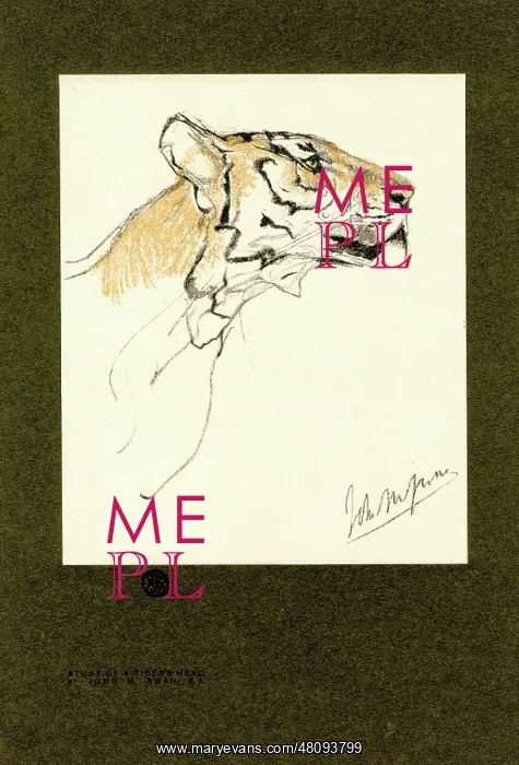  : Head of a Tiger