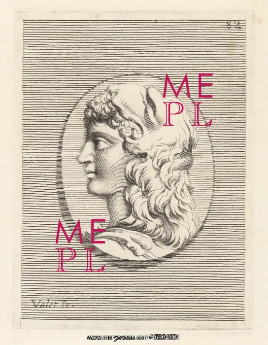 : Head of an unknown man wearing a lionskin like Hercules : Head of an unknown man wearing a lionskin like Hercules