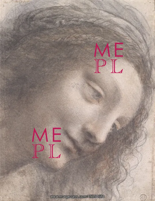 : Head of the Virgin, by Leonardo da Vinci : Head of the Virgin, by Leonardo da Vinci