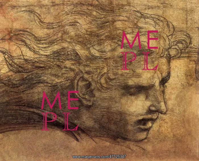 : Head of a young man, by Raphael : Head of a young man, by Raphael