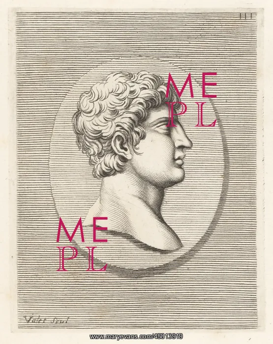  : Head of a young man with short curly hair