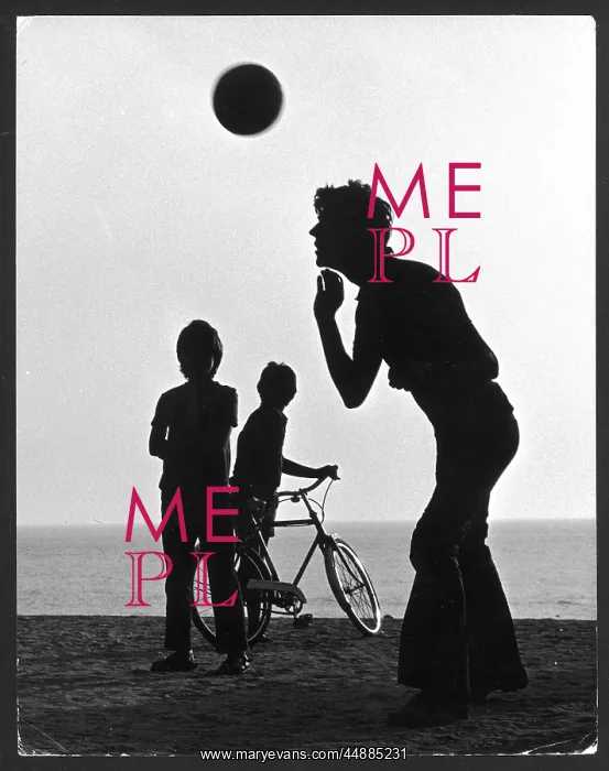 : HEADER SILHOUETTE : HEADER SILHOUETTE