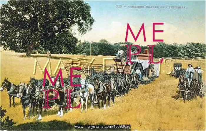  : HEADER / THRESHER USA