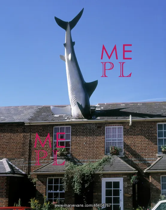  : The Headington Shark