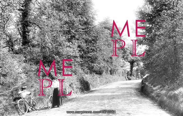  : Headley, Oyster Lane 1906