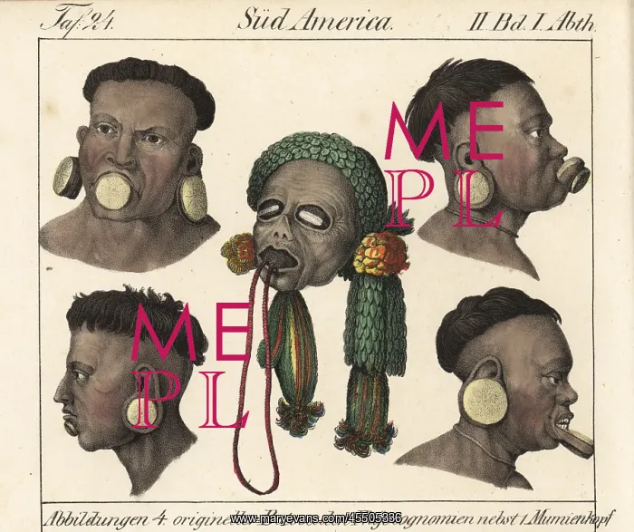 : Heads of Botocudo men from Eastern Brazil : Heads of Botocudo men from Eastern Brazil