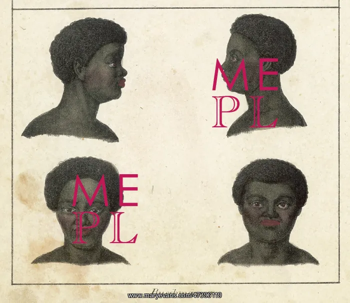  : HEADS OF BUSHMEN