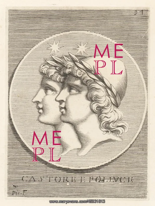 : Heads of Castor and Pollux : Heads of Castor and Pollux