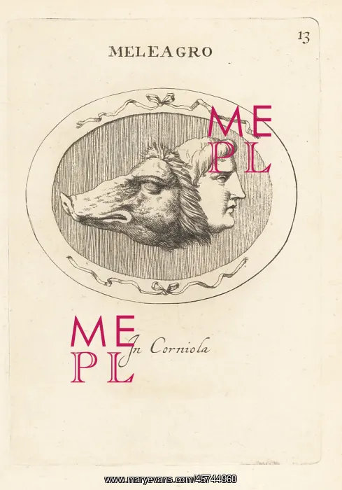 : Heads of Meleager and the Calydonian boar : Heads of Meleager and the Calydonian boar