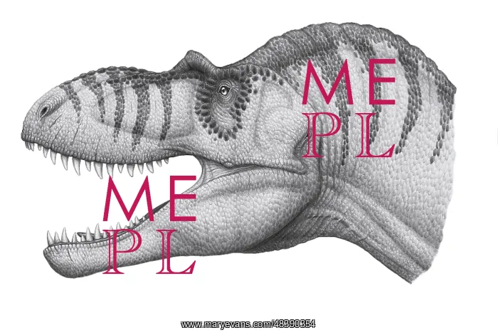 : Headshot of an Albertosaurus sarcophagus dinosaur : Headshot of an Albertosaurus sarcophagus dinosaur