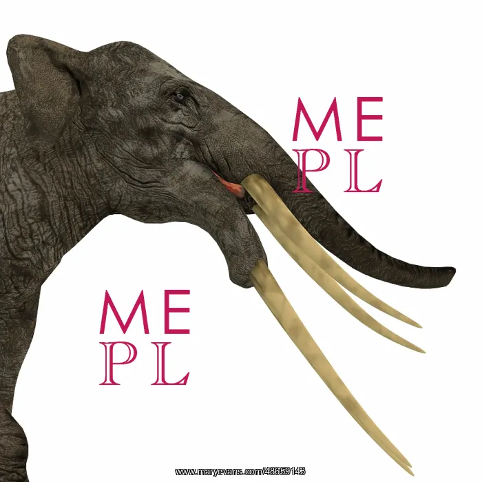 : Headshot of a Stegotetrabelodon primitive elephant : Headshot of a Stegotetrabelodon primitive elephant