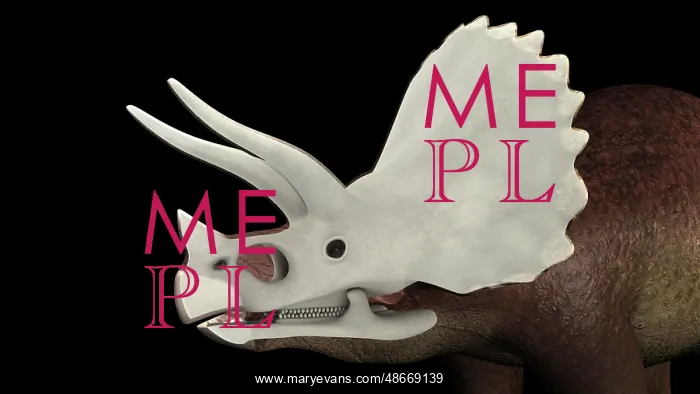 : Headshot view of the skull of Triceratops : Headshot view of the skull of Triceratops
