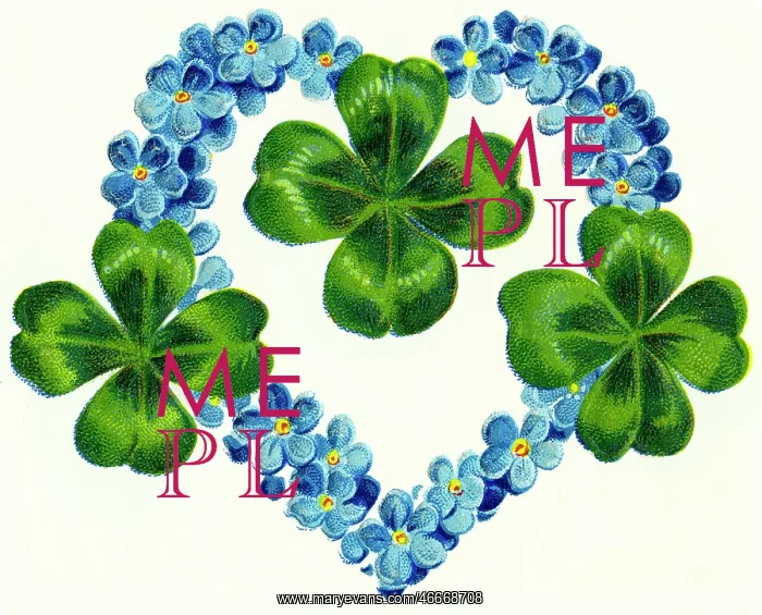  : Heart with forget-me-not