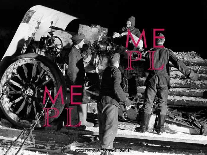 : Heavy artillery gun on the Eastern Front, 1941 : Heavy artillery gun on the Eastern Front, 1941