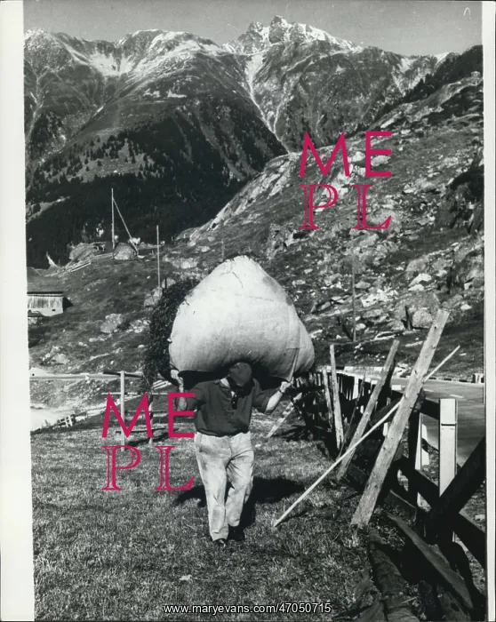 : A Heavy Burden - High Up In The Mountains. A : A Heavy Burden - High Up In The Mountains. A